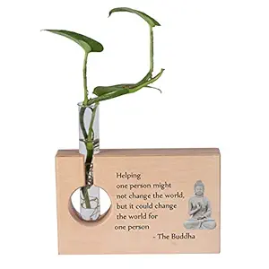 RK Cart Lord Buddha Wooden Plant Holder Stand with Test Tube Vase