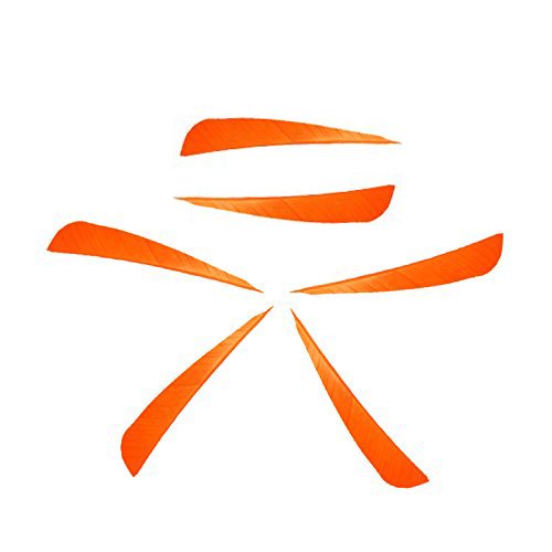 3Z Archery 50pcs 4inch tir à l'arc Fletching flèches Dinde Plumes Fletchs Aile Droite Naturelle Vanes flèches de Chasse