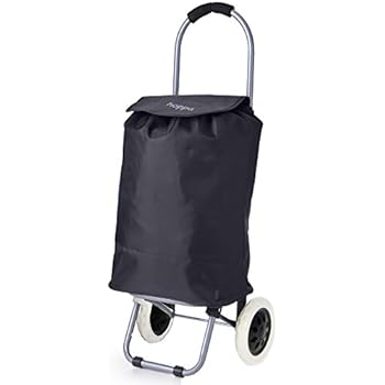 amazon offers trolley bags