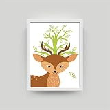 Bild Set Waldtiere DIN A4 Tiere Wandbild K1-K4 - 6