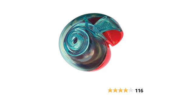 kong rewards shell large