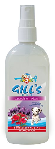 CROCI-Gills-Deo-Lavander-and-Verbena-150-ml