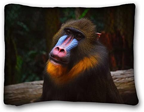Custom Cotton &amp; Polyester Soft Animal Pillowcase Standard Size 20"X26" Design Pillow Case Cover suitable for Twin-bed