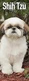 Shih Tzu 2020: Original Avonside-Kalender - Slimline [Mehrsprachig] [Kalender] (Slimline-Kalender) by 