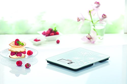 Soehnle 65115 Digitale Küchenwaage Frosted & Frozen - 3