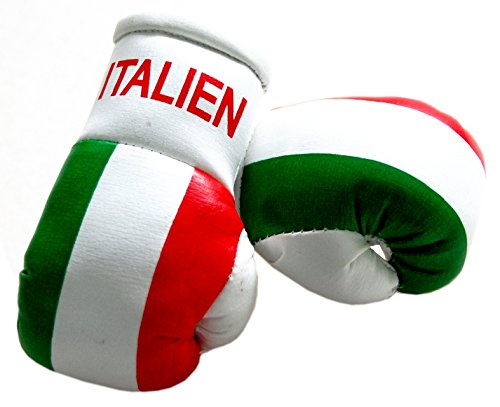 Preisvergleich Produktbild Mini Boxhandschuhe - Italien