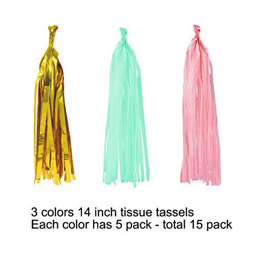 Wartoon 6 Seidenpapier Pompons Blumen und 12 Quasten Girlande, 2 Polka Dot Papier Girlande, 10 Luftballons Latexballons für Geburtstag, Hochzeit, Baby Dusche, Parteien, Partei Dekoration - 3