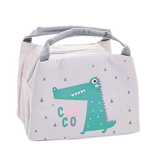 Floridivy Almuerzo de la Historieta Bolsa térmica Reutilizable de Picnic Bolsa de Asas de Comidas Bolsa Bolsa de Hielo para Niños Niños Niñas Hombres Mujeres