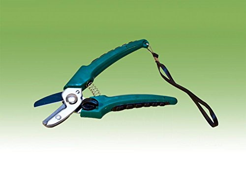 Preisvergleich Produktbild Star Garten Amboss Schere Profi (I7)