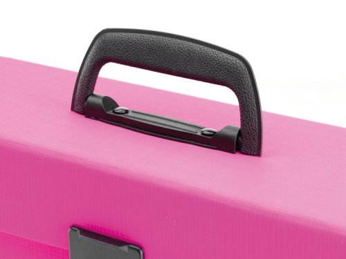 Rexel Joy - Caja de archivo extensible  385 x 125 x 250 mm  con 19 bolsillos separados   color rosa