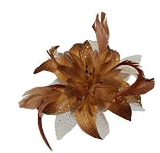 Flower Net and Feathers Fascinator On A Comb 9 Colours (Brown)