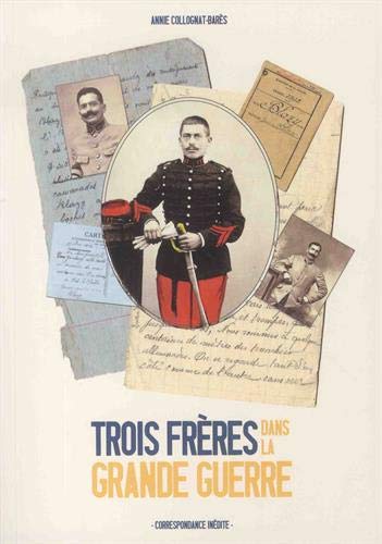 couverture de : Trois fr&egrave;res dans la Grande guerre