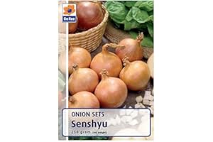CHOOSE JBA Senshyu Winter Onion Sets (250gram Pack) Autumn Planting