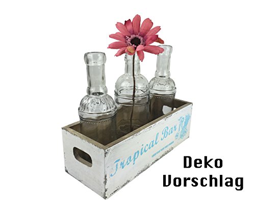 6er Set Glasflaschen, transparent (Vasen Set für Tischdekoration, Hochzeitsvasen, Kerzenvase, Gastro - 4