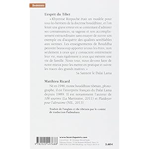 L'Esprit du Tibet. La vie et le monde de Dilgo Khyentsé, maître spirituel