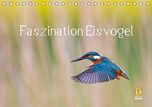 Faszination Eisvogel (Tischkalender 2018 DIN A5 quer): Zwölf außergewöhnliche Eisvogelporträts (Monatskalender, 14 Seiten ) (CALVENDO Tiere) [Kalender] [Nov 19, 2015] Martin, Wilfried