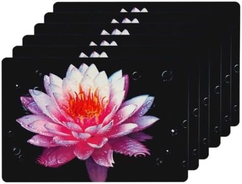 Set of 6 Placemats &amp; 6 Coasters Table Place Setting Mats Shabby Chic Home Dining Floral Design Lotus