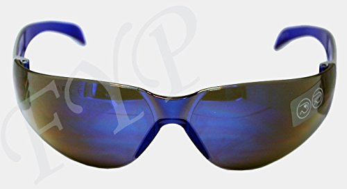 Delta plus-occhiali Geräucherter Schutz-Delta Plus - 6