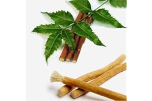 GENERIC ETHNICINDIAN 10 Chewing Sticks of NEEM DATUN Tooth Cleaner & Herbal Twig for Traditional Teeth Cleaning, Preventing Decay and Gum Care