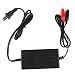 Generic 12V 5A Lead-acid Battery Charger With Constant Floating Mode Protection-14015870MG RS.890.00