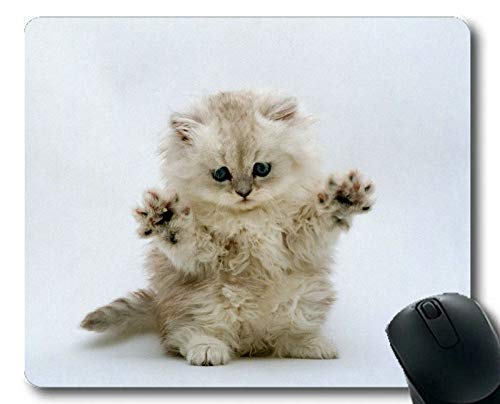 Preisvergleich Produktbild Mauspad, Katzenmauspad, Mauspad für Computer cat288