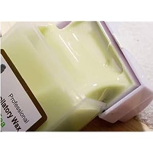ETTG 100G Depilatory Body Wax Hair Removal Wax Strips Wax Cartridge - Image 5