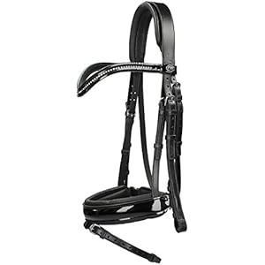 Passier Trense Trensenzaum Apollo schwarz lack Reithalfter Spezial mit Zügel, Größe Pferd:Vollblut