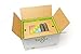 Tegu Classroom Magnetic Wooden Block Set (130-Piece, Tints)