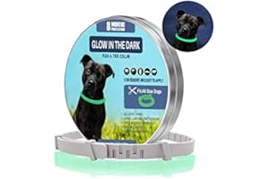 ÖTTRI Zeckenhalsband für Hunde und Katzen | Leuchtendes Präventionshalsband gegen Parasiten mit bis zu 8-Monatigen Schutz | Fluoreszierendes Halsband universell auf Jede Größe verstellbar