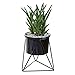 Produktbild Blumentopf, geometrische Wand Dekor Container dreieckige Eisen Kunst einfach Sukkulenten grün Pflanze Eisen Rahmen Keramik Blumentopf Vase-ideal für Sukkulenten, Luft Pflanze, Mini Kaktus, Faux Pflanzen und vieles mehr
