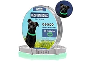 ÖTTRI Zeckenhalsband für Hunde und Katzen | Leuchtendes Präventionshalsband gegen Parasiten mit bis zu 8-Monatigen Schutz | Fluoreszierendes Halsband universell auf Jede Größe verstellbar