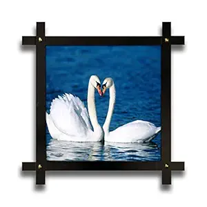 Poster N Frames Hand-Crafted with Photo of Swan Cross Wooden Frame (16.5x16.5 Inch, Multicolour)