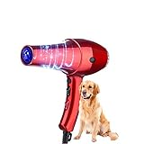 [Geräuscharm] Dieses Set von Beauty-Haartrocknern verwendet eine neue Generation von Drucktechnologien, um Geräusche zu reduzieren. Reduzieren Sie effektiv das Geräusch Ihrer Welpen. Dezibel machen sie nicht nervös.