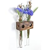 Fenstervase Zebrano 2er Blumenvase Test Tube Vase Flower Vase