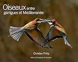 Oiseaux entre garrigues et Méditerranée
