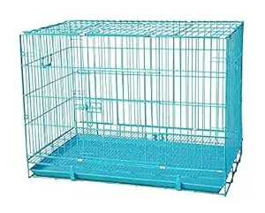 RvPaws Powder Coated Iron Cage with Removable Tray for Dog (36-inch, Large Blue)