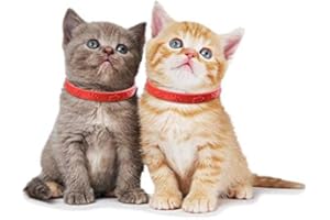 BEAUTYBIGBANG 3PCS Pet Neck Strap Outdoor Dog Cat Rabbit Neck Strap Adjustable Waterproof Quickly Release Flea Anti Flea Collar
