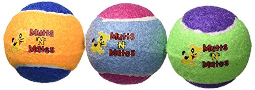 Small-Squeaky-Dog-Balls-by-MuttsNMates-super-bouncy-small-dogs-toy-3-Pack