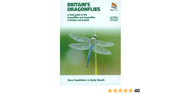 running warehouse dragonfly