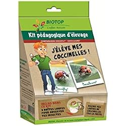 Kit pédagogique élevage Coccifly / Coccilaure