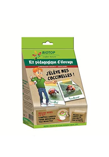 Kit pédagogique élevage Coccifly / Coccilaure