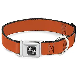 Buckle-Down Dog Collar Seatbelt Buckle Neon Orange 18 to 32 Inches 1.5 Inch Wide