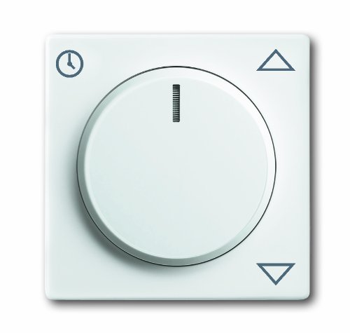 Preisvergleich Produktbild Busch-Jaeger 6436-896 Zentralscheibe