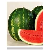 AGRODAL TARIM Ancestral Seed Natural Diyarbakir Kapruz 100 Seeds