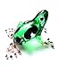 Produktbild Frosch Grün Schwarz Pink - Glas Frosch - Glasfigur Glastier Frog Nr.005 - Deko Setzkasten Vitrine