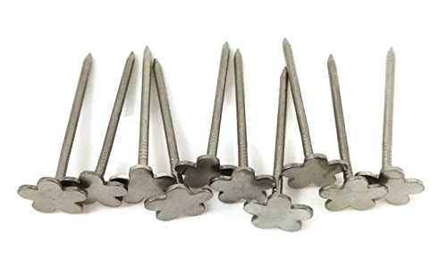 10 Stück Blumennagel – 2,5 x 40 mm / Nägel mit Blütenkopf, Ziernagel aus Edelstahl - 5