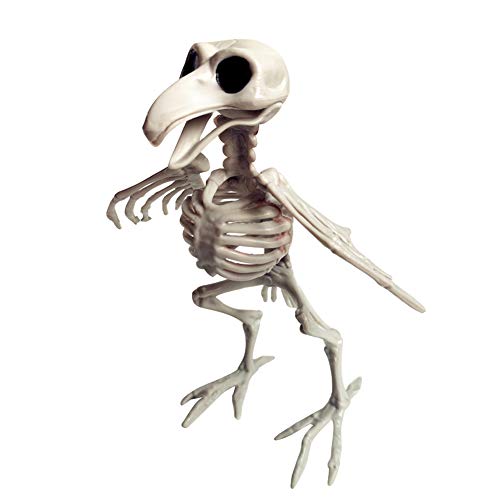 kangOnline Esqueleto de Halloween, Huesos de Animales, Figura de...