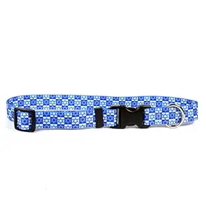 Yellow Dog Design Hanukkah Stars Dog Collar 1