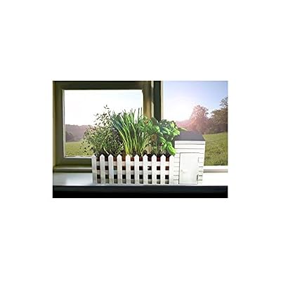 BBTradesales Jardin Aromatique d'Intérieur, Cadeau Insolite
