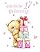 Produktbild Glucklicher Geburtstag 17: German Version, Happy 17th Birthday, Notebook, Journal, Dairy, 185 Lined Pages, Cute Teddy Bear Themed Birthday Gifts for ... or Granddaughter, Book Size 8 1/2" x 11"